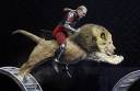 Riding-a-lion_1373630i.jpg
