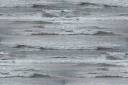 waves_grayblue_300.jpg