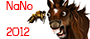 Nano winner.png