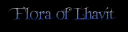 Flora.png