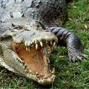 bigjaw.jpg