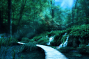 trailofwaterfallsimage.png