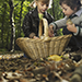 foraging.png