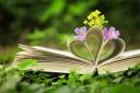 flowerybook.jpg