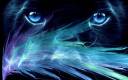 1021420-bigthumbnail.jpg