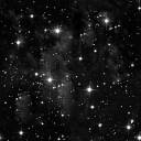 4462835857_04fd9e3ed1_m.jpg
