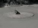 Mud Pools - Thermal Wonderland Rotorua Feb 2009 3.JPG