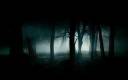 forest-dark-fog-dark-forest-wallpaper.jpg