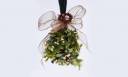 uses-for-mistletoe.jpg