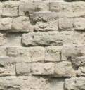 Background5.jpg