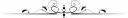 decorative-line-divider1.jpg