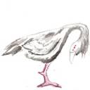 kalinor chicken.jpg