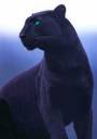 BeFunky_blackleopard.jpg