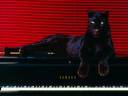 BeFunky_Black Panther on Piano.jpg