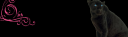 VASTOP.png
