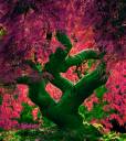 vian-tree.jpg