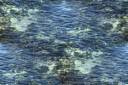 rocky_water_500.jpg
