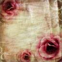 Vintage-Rose-Wallpaper-2084682.jpg