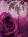 3172090-vintage-rose-background-in-purple-grunge-paper.jpg