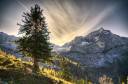 rsz_alpine_view_by_mutrus.jpg