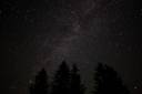 Forest-night-sky-spruce-trees-stars_-_West_Virginia_-_ForestWander.jpg