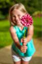 flower.jpg