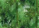 cartoon forest.jpg