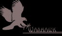 Warhawk gray.png