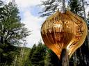 treehouse546forhousingsticky.jpg