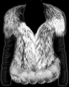 shirt2.png