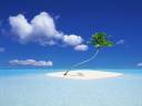 island.jpg