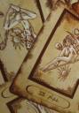 elven_tarot_deck_by_karla_chan-d2yw0cu.jpg