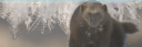 Sliver Bottom.png