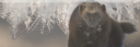 Sliver Bottom2.png
