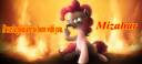 pony.jpg
