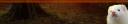 Posting banner #1(bot).jpg