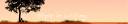 Header.jpg