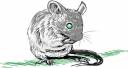 small mouse.jpg