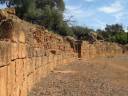 tipaza__fighting_galleryfull.jpg
