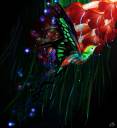 humming_by_insamija-d24f8ba.jpg