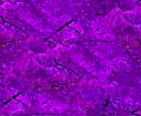 purple.png
