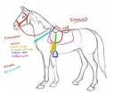 Horse_gear_tutorial_by_waronmars.jpg