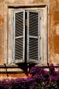 shuters-venice.jpg