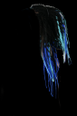 dreads.png