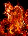 Firebird.jpg