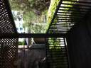 bigger balcony attached to my bedroom.jpg