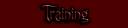 SturlinTraining.jpg
