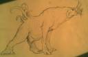 boarsketch_zps6dc88bb9.jpg