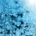 11386554-frosty-original-pattern-at-a-winter-window-glass-natural-texture.jpg