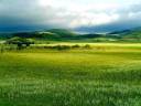 grassland.jpg